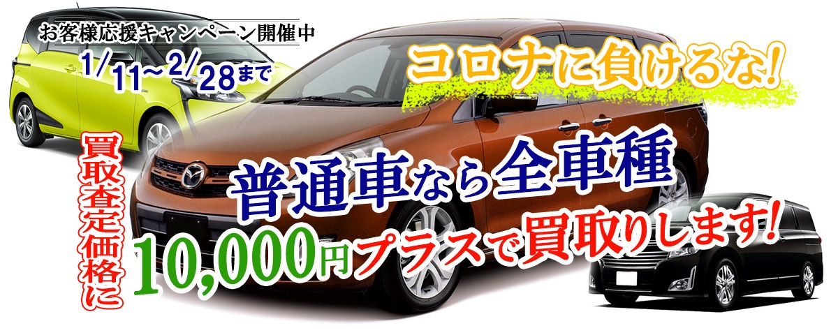 普通車は10,000円プラスで買取りします